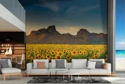 Carta da Parati campo di girasoli paesaggio