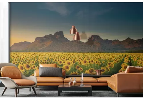 Carta da Parati campo di girasoli paesaggio 2