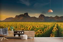 Carta da Parati Foglie e Fiori Giardini Montagna Prati e colline