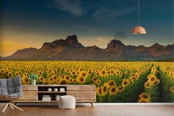 Wallpaper Leaves and Flowers Gardens Mountain Meadows and Hills