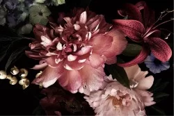 Wallpaper Design and Styles Flora and Fauna Flowers Nature