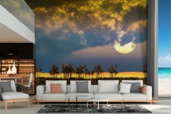 Desert oasis wallpaper at night with moon