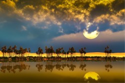 Wallpaper Landscapes and Nature Sky Desert Tropical Oasis