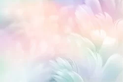 Abstract Design and Styles Wallpaper