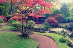 Wallpaper Landscapes and Nature Oriental and Zen Gardens
