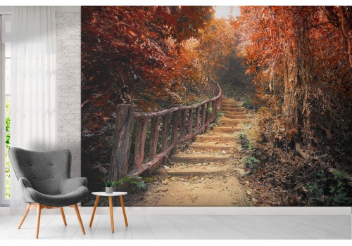 Autumn forest wallpaper with landscape ladder 2