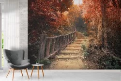 Carta da Parati foresta autunno con scala paesaggio