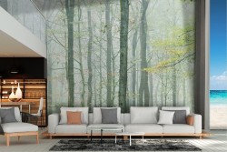 Carta da Parati foresta verde bosco illustrazione