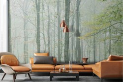 Carta da Parati foresta verde bosco illustrazione