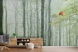 Carta da Parati Foreste e Alberi Natura