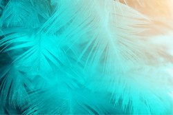 Flora and Fauna Wallpaper Design and Styles Tropical Leaves