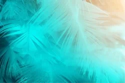 Flora and Fauna Wallpaper Design and Styles Tropical Leaves