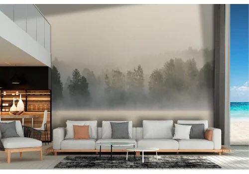 Carta da Parati lago fiume con foresta nebbia