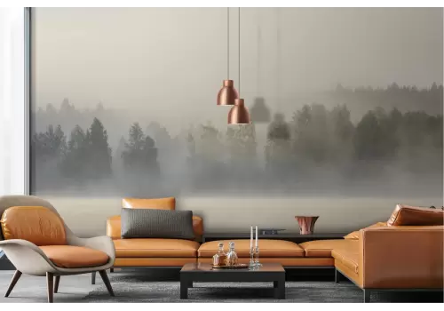 Carta da Parati lago fiume con foresta nebbia 2