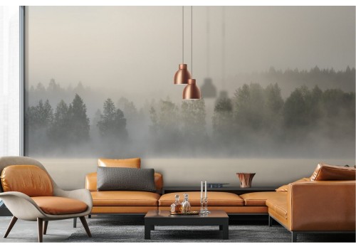 Wallpaper lake river with forest fog 2