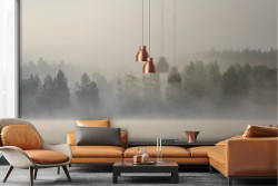 Wallpaper lake river with forest fog