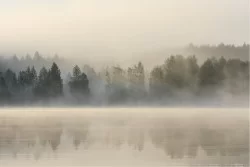 Carta da Parati Paesaggi e Natura Fiumi Cascate Laghi Foreste e Alberi