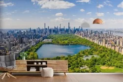 Wallpaper City Trees Gardens