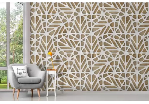 Wallpaper stylized lines spider web 3D effect 2