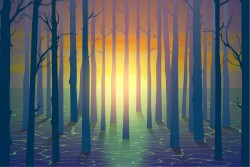 Carta da Parati Design e Stili Flora e Fauna Paesaggi e Natura Alba Tramonto Dipinti e Acquerelli Foreste e Alberi