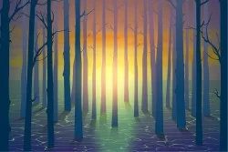 Carta da Parati Design e Stili Flora e Fauna Paesaggi e Natura Alba Tramonto Dipinti e Acquerelli Foreste e Alberi