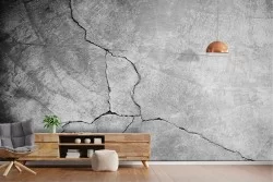 Carta da Parati superficie cemento con frattura