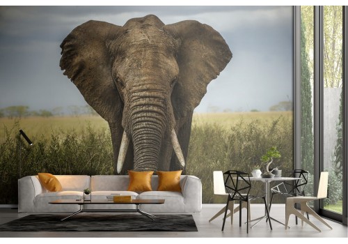 Elephant nature photorealistic wallpaper