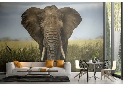 Elephant nature photorealistic wallpaper