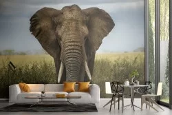 Elephant nature photorealistic wallpaper