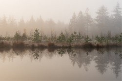 Wallpaper Landscapes and Nature Rivers Waterfalls Lakes Forests and Trees