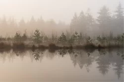Wallpaper Landscapes and Nature Rivers Waterfalls Lakes Forests and Trees
