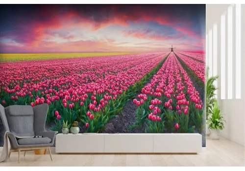 Wallpaper grass pink flowers with mill landscape