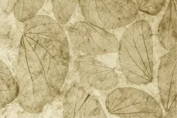 Carta da Parati Superfici e Texture Marmo
