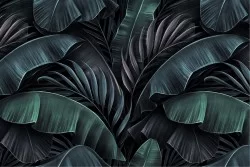 Carta da Parati Design e Stili Flora e Fauna Foglie Tropicale