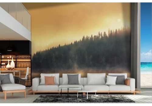 Wallpaper landscape lake with trees and fog