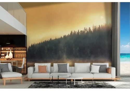 Wallpaper landscape lake with trees and fog