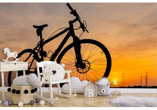 Wallpaper landscape sunset with bicycle