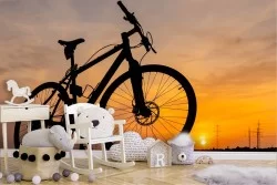 Carta da Parati paesaggio tramonto con bicicletta