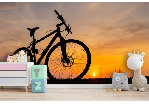 Carta da Parati paesaggio tramonto con bicicletta 2