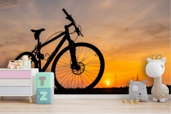 Wallpaper landscape sunset with bicycle