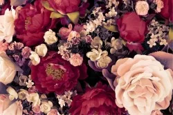 Wallpaper Design and Styles Flora and Fauna Flowers Nature