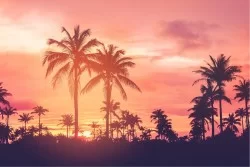 Wallpaper Landscapes and Nature Sunrise Sunset Tropical