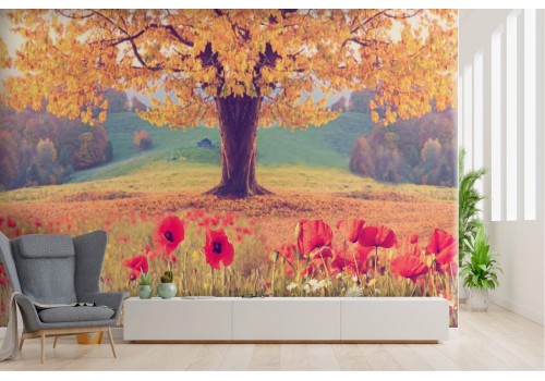 Wallpaper landscape meadow poppies with tree