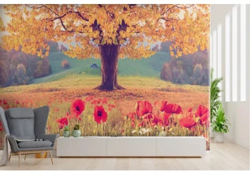 Wallpaper landscape meadow poppies with tree