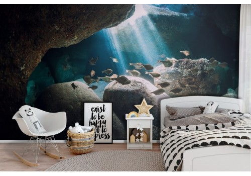 Underwater nature fish wallpaper landscape photography-6