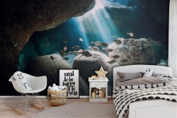 Carta da Parati pesci natura subacquea paesaggio fotografia-6