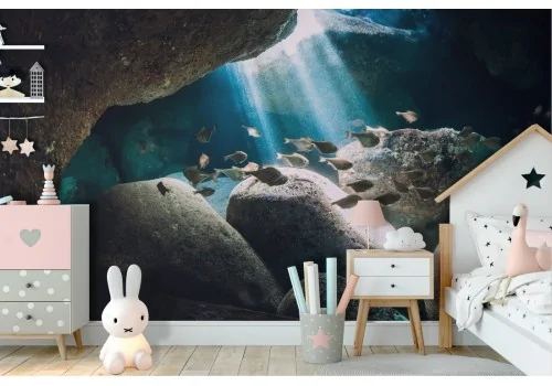 Carta da Parati pesci natura subacquea paesaggio fotografia-6 2