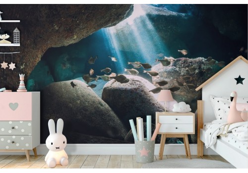 Underwater nature fish wallpaper landscape photography-6 2