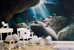 Carta da Parati Mondo acquatico