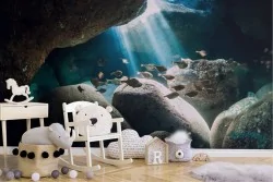 Aquatic World Wallpaper